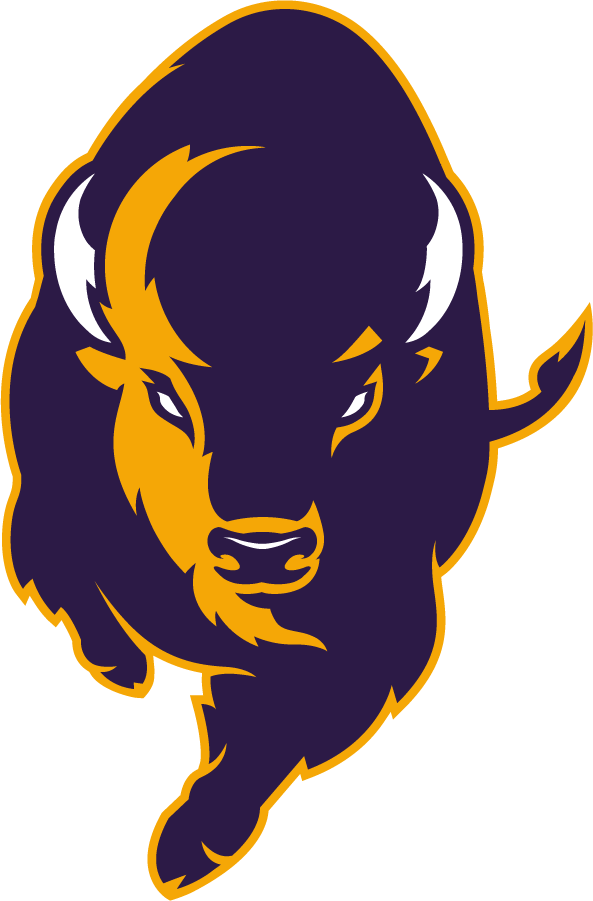 Lipscomb Bisons 2020-Pres Alternate Logo v2 iron on transfers for T-shirts